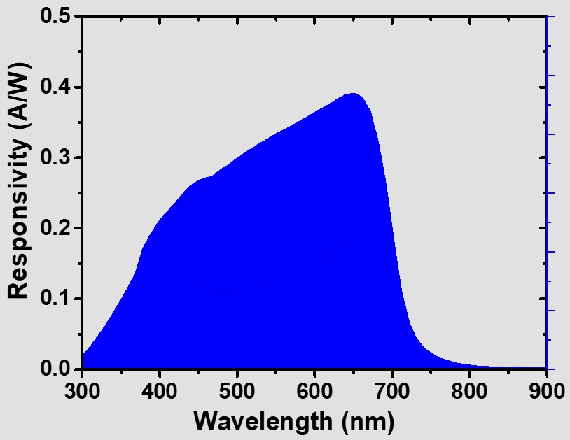 PD-VISIBLE-M SR